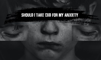 CBD for my anxiety
