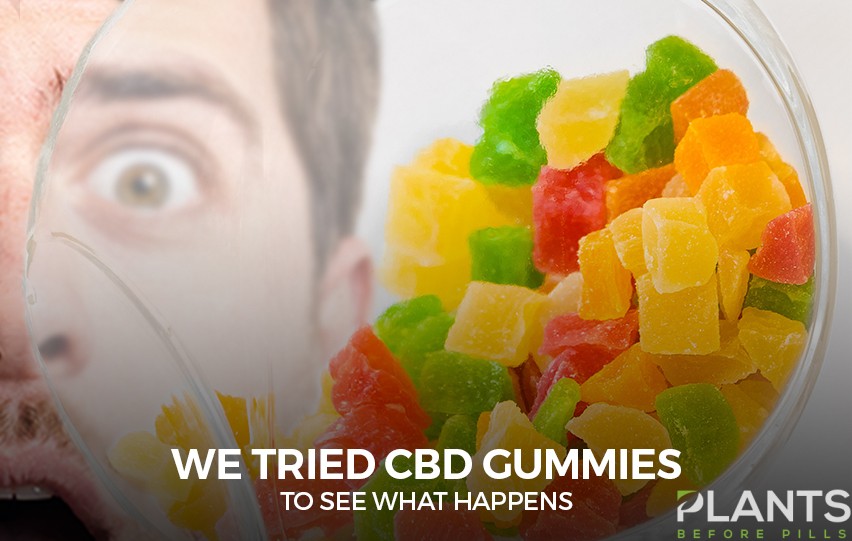 CBD Gummies To See What Happens