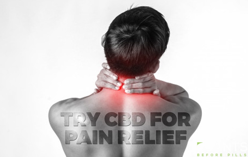 cbd for pain relief