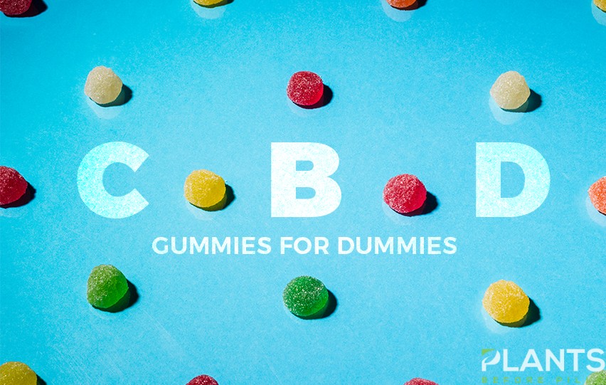 CBD Gummies