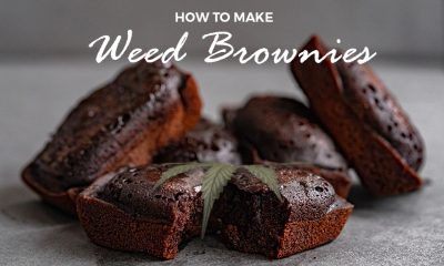 weed brownies