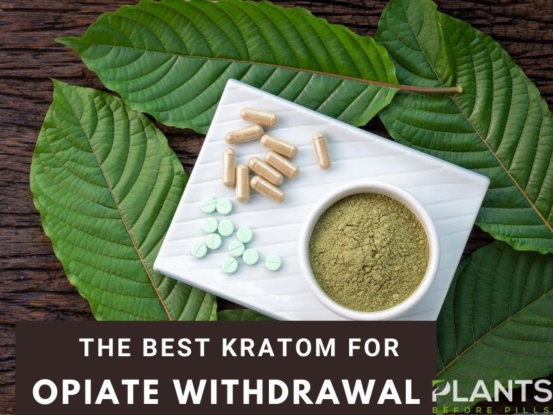 The Best Kratom for Opiate Withdrawal