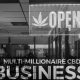 Build a Multi-Million Dollar CBD Business