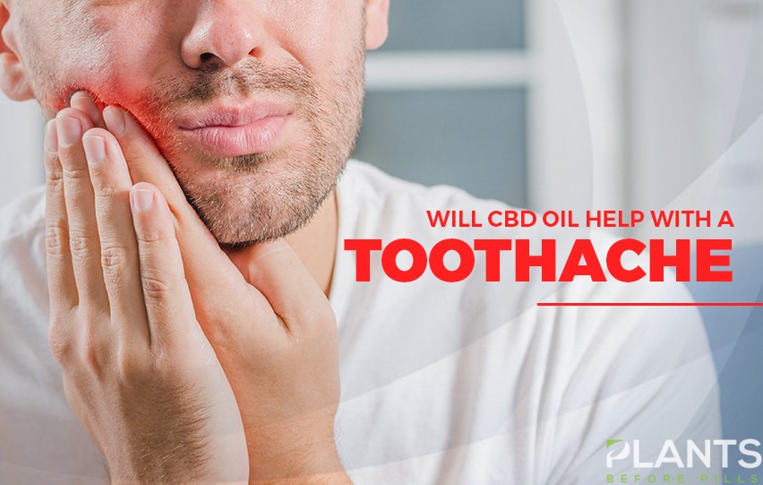 Will CBD Oil help with a toothache
