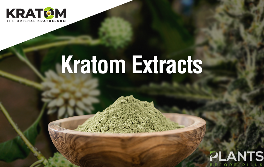 Kratom extracts and the importance of Mitragynine