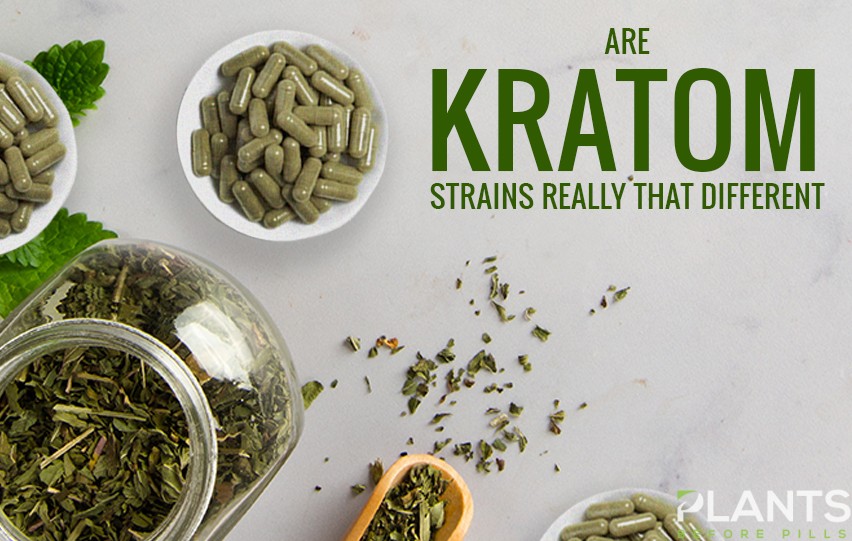 Are Kratom Strains Really that Different