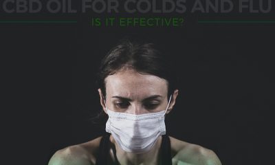 CBD Oil for Colds and Flu