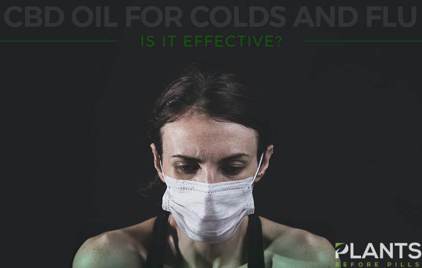 CBD Oil for Colds and Flu