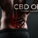 CBD Oil for Pain and Chronic Pain