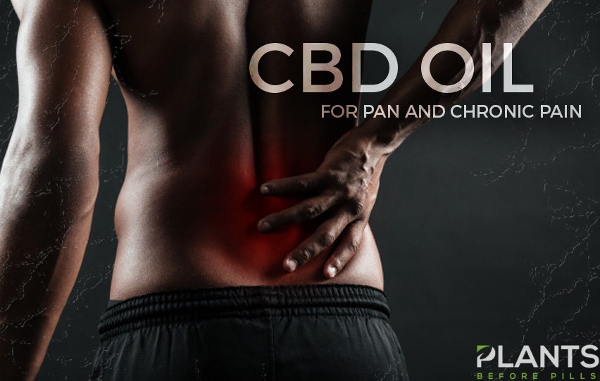 CBD Oil for Pain and Chronic Pain