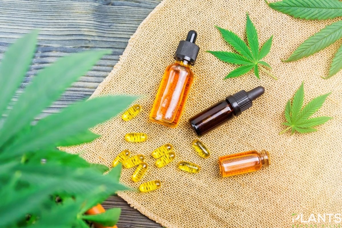 Consume CBD Without Smoking