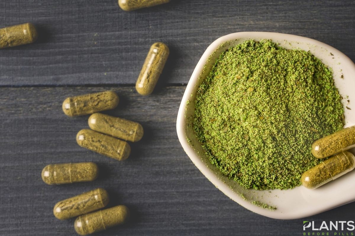 So, What Kratom Strain Has the Most Alkaloids?