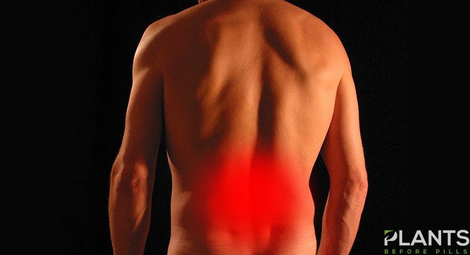 CBD OIL Help Relieve SCIATICA