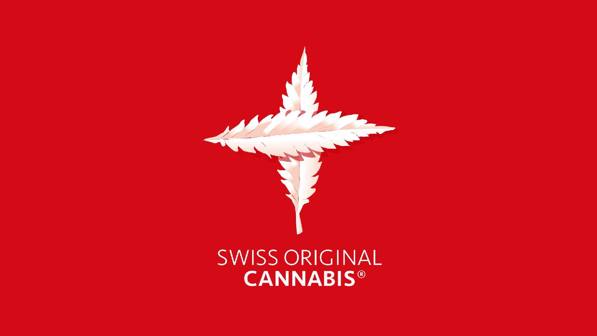 Swiss Original Cannabis