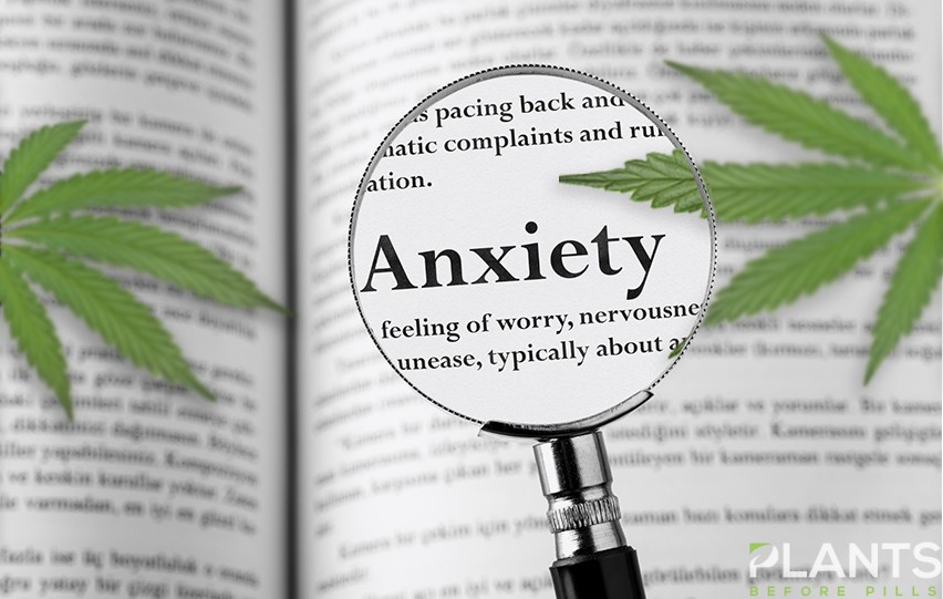 All you should know about using marijuana for treating anxiety