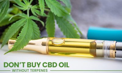 Don't Buy CBD Oil Without Terpenes