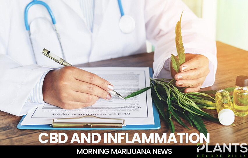 CBD and Inflammation