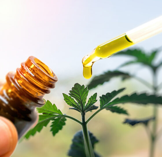 CBD for Gout