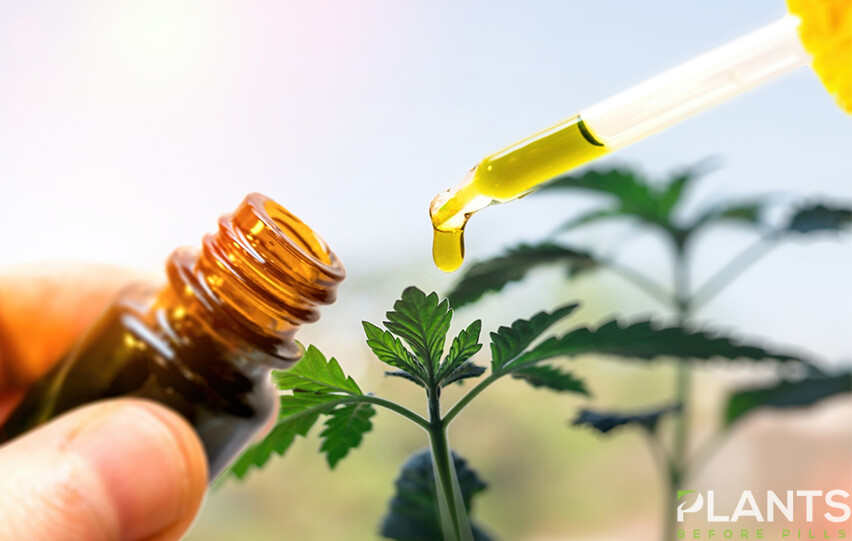 CBD for Gout