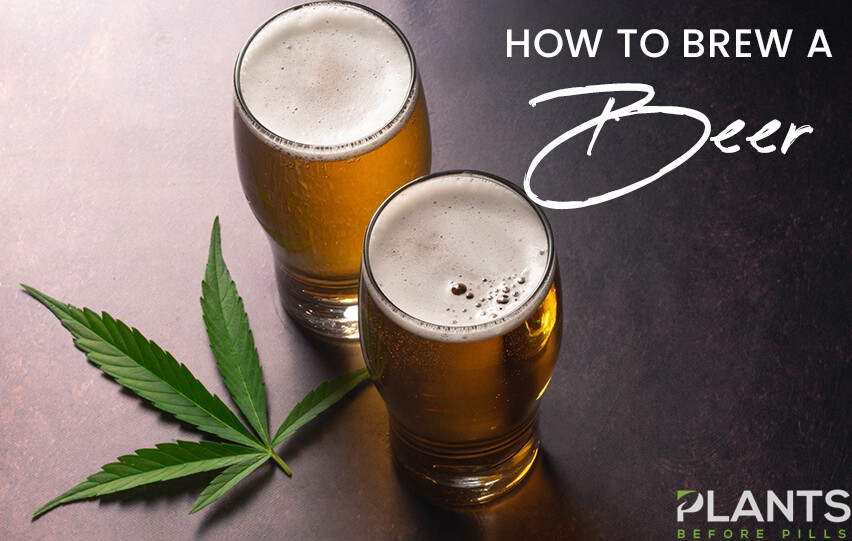 Brewing with CBD Beer