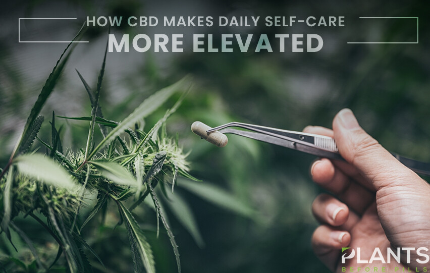 How CBD Makes Daily Self-Care Feel More Elevated