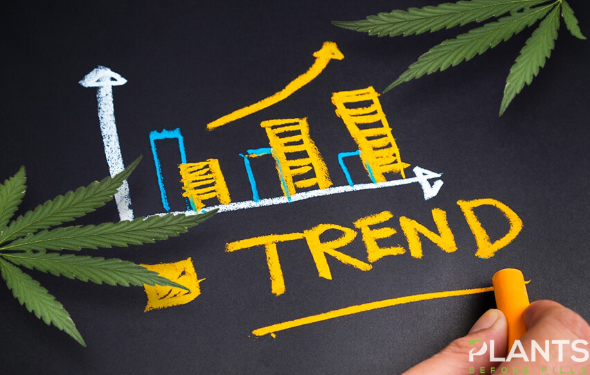 CBD Trends