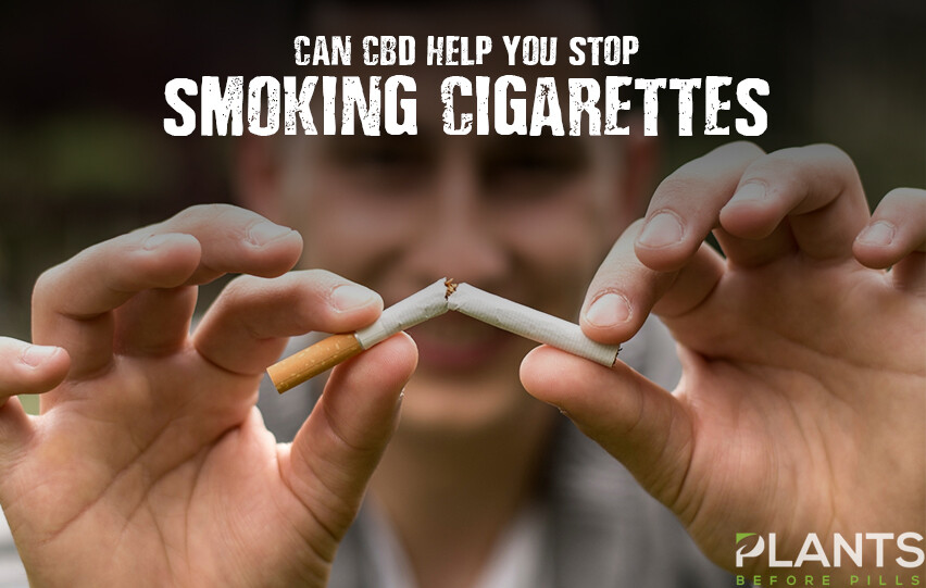 CBD Help You Stop Smoking Cigarettes