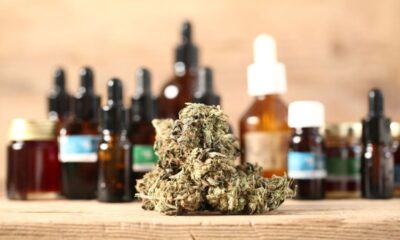 CBD-Infused Products in the Market