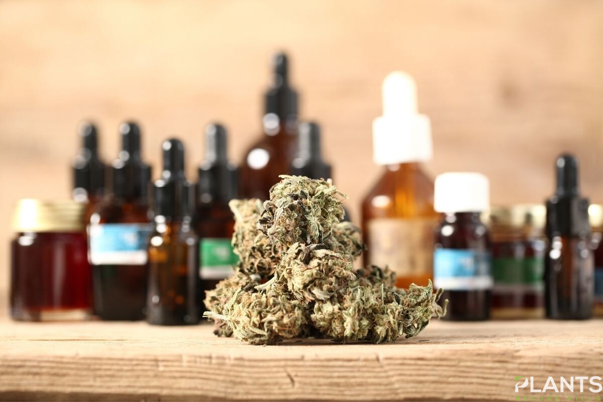 CBD-Infused Products in the Market