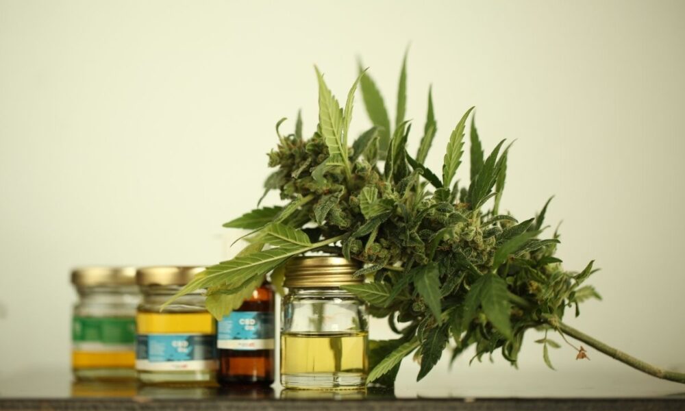 CBD Products Celebrities Swear By