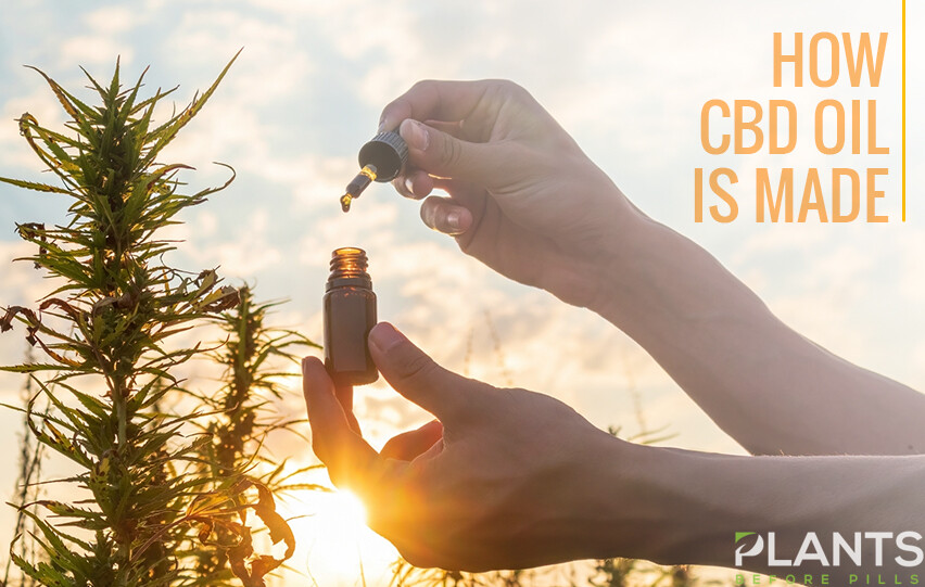 CBD Oil Is Made