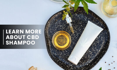 Learn More About CBD Shampoo