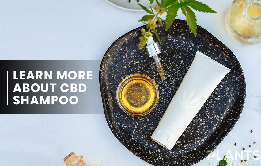 Learn More About CBD Shampoo