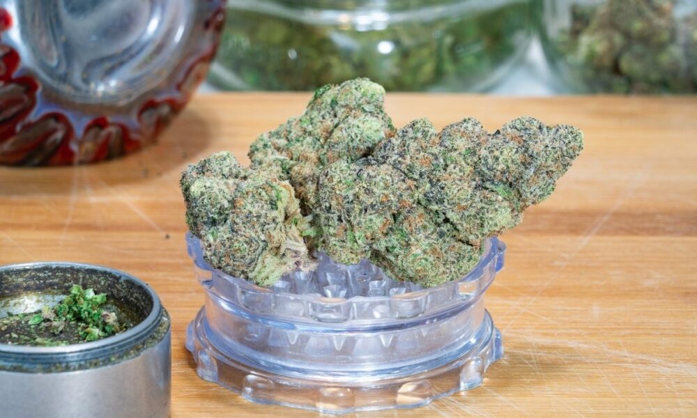 delta-9 THC Cannabis