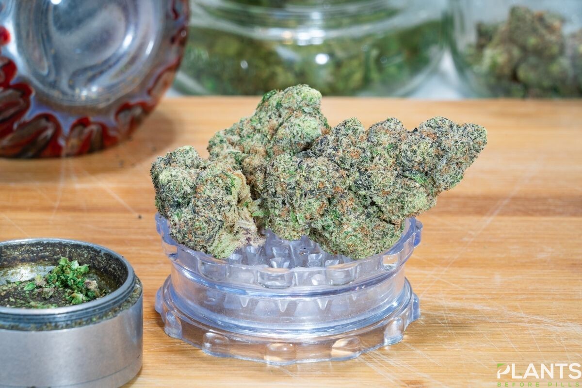 delta-9 THC Cannabis