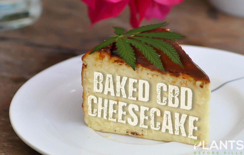 CBD Cheesecake