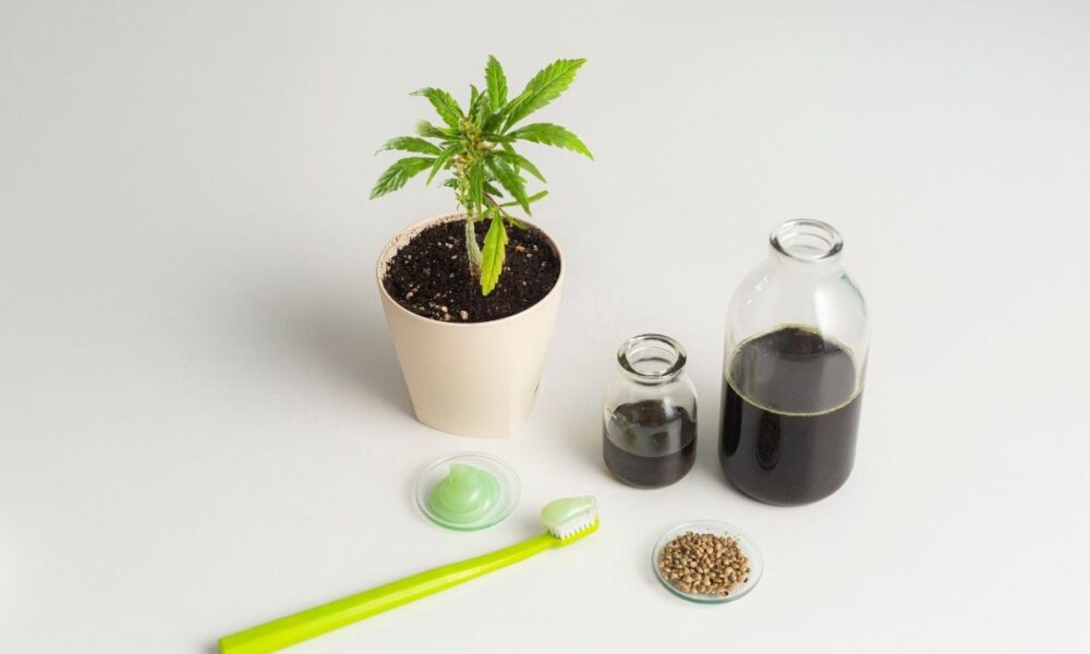 Strangest CBD Products