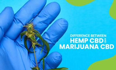 Difference Hemp CBD & Marijuana CBD