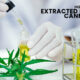 CBD Is Extracted From Cannabis