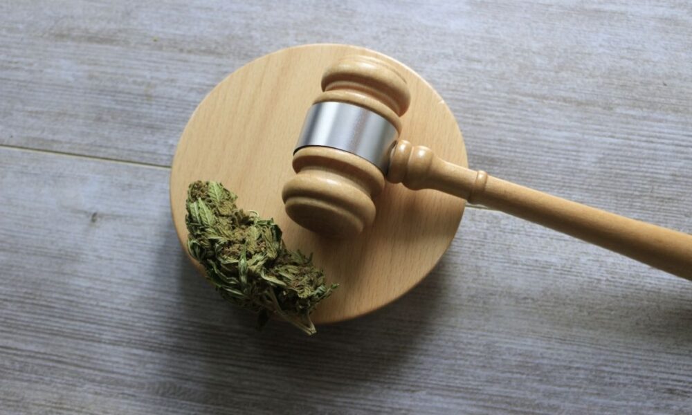 When Will Weed be Legal in Florida