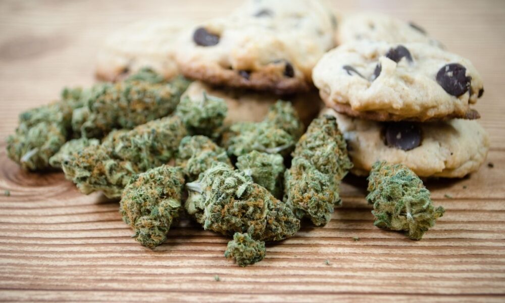 Munchies