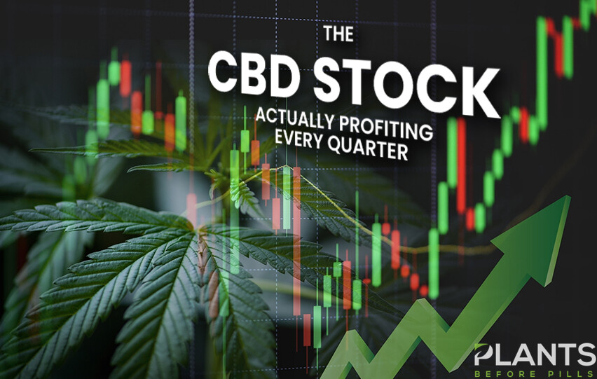 CBD Stock Actually Profiting Every Quarter