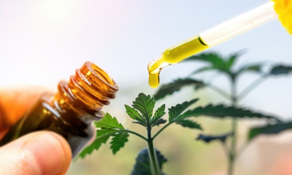 Cbd oil - when to take