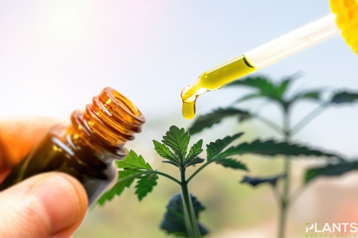 Cbd oil - when to take