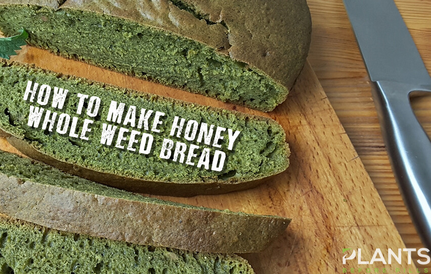 Honey Whole Weed Bread