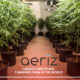 Aeroponic Cannabis Farm in World
