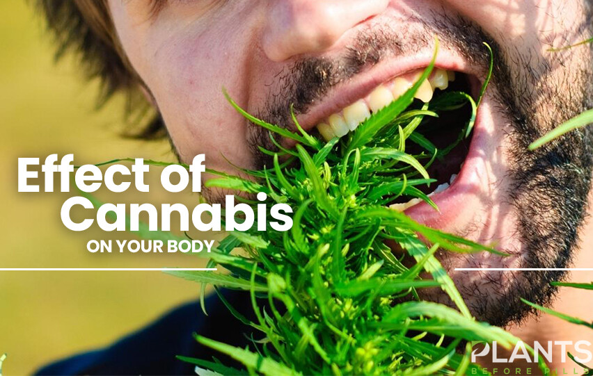 Cannabis on your body
