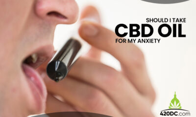 CBD oil for my anxiety