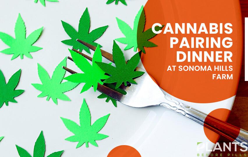 Cannabis Pairing