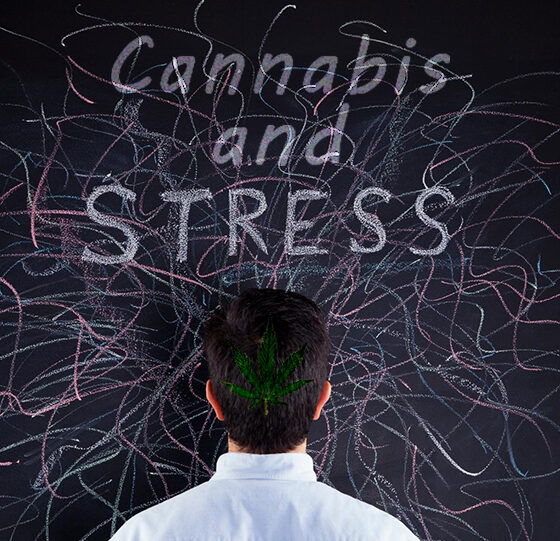 Cannabis Stress